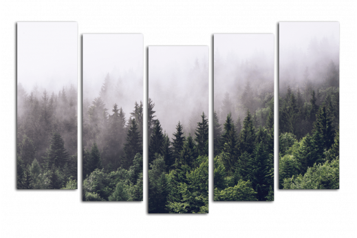 Модульная картина Туманный лес